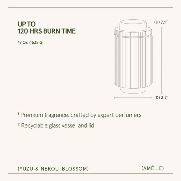 Amélie – Yuzu & Neroli Blossom Candle