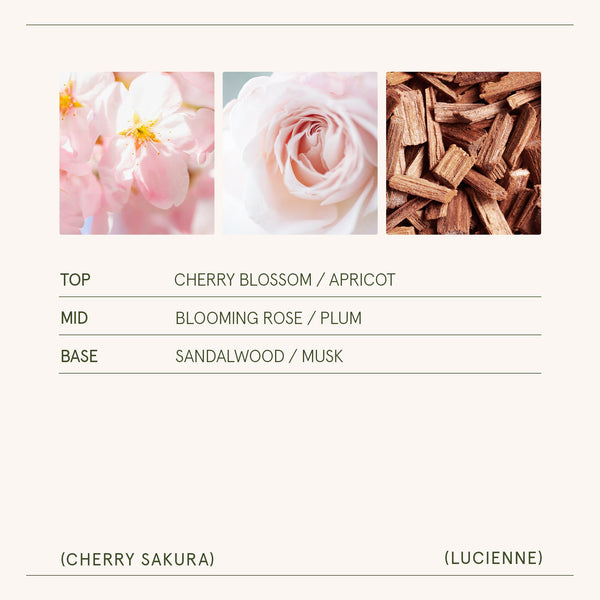 Lucienne - Cherry Sakura Candle