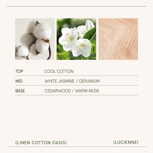 Lucienne - Linen Cotton Oasis Candle