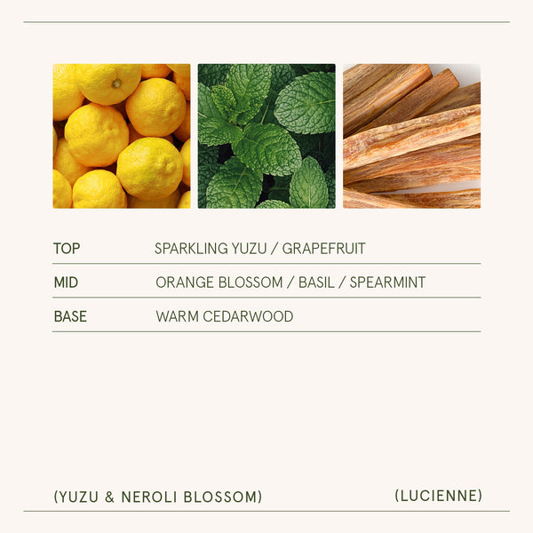 Lucienne - Yuzu & Neroli Blossom Candle